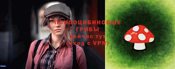 прущие грибы Алексеевка