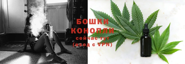 крисы Армянск