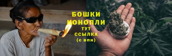крисы Армянск