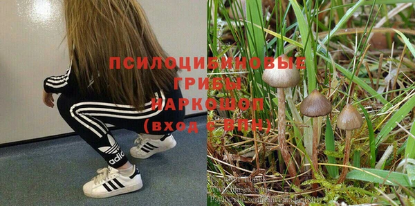 крисы Армянск