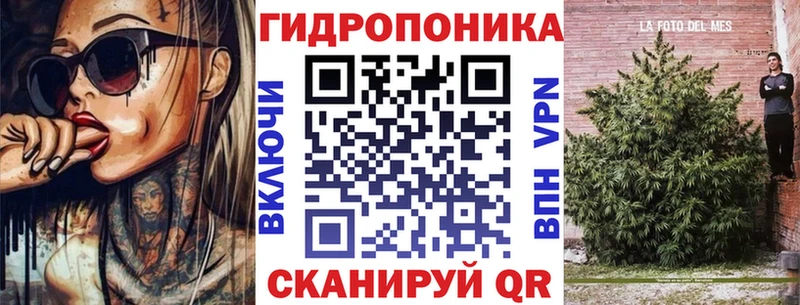 Купить закладки  Порхов  Конопля семена 